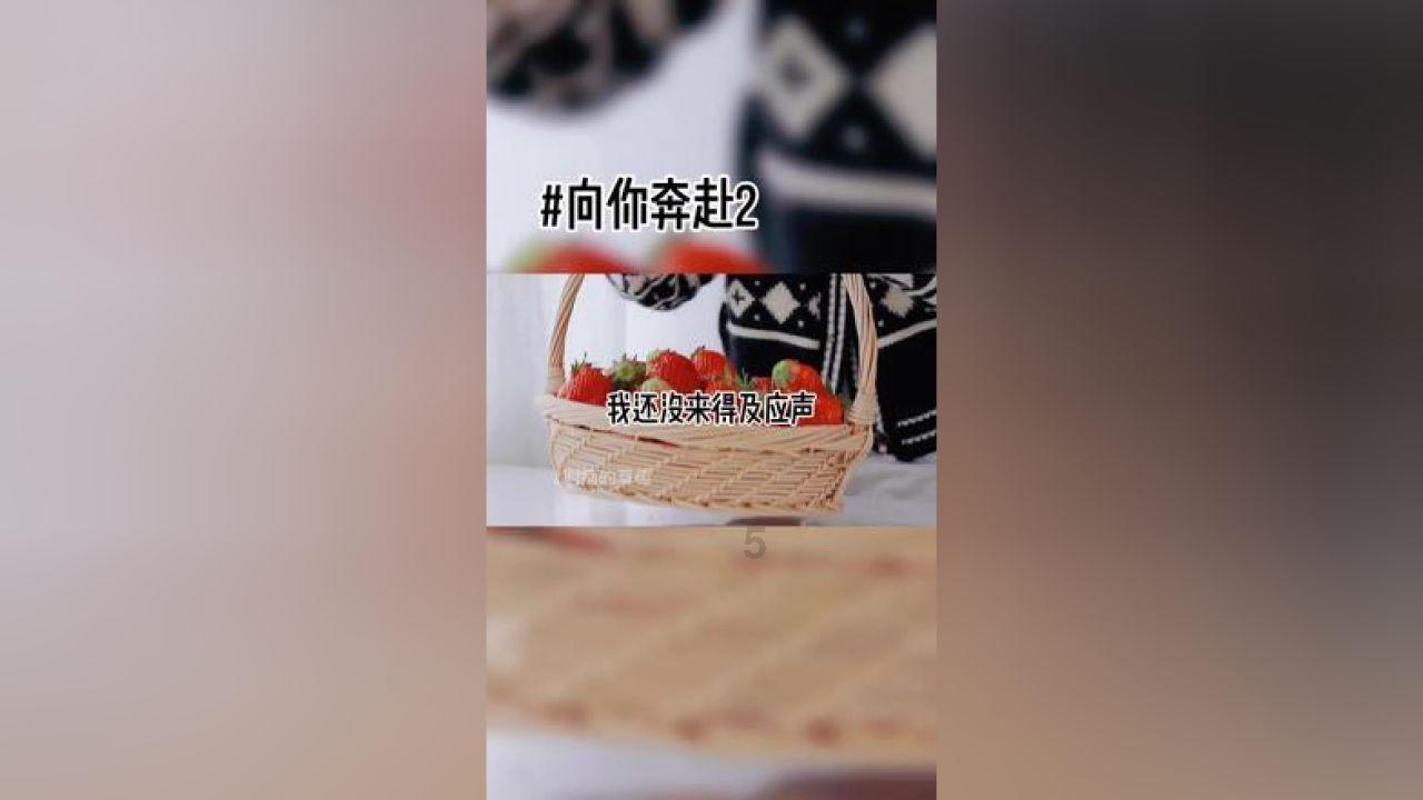 史上最贱小游戏之网络
